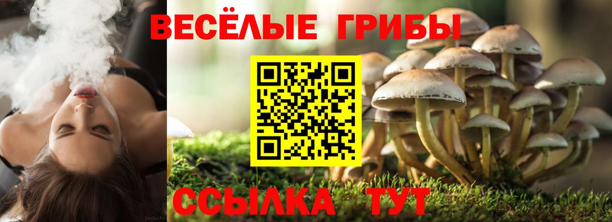 Галлюциногенные грибы Cubensis  Псилоцибиновые грибы Magic Shrooms  Вход с VPN  Камень-на-Оби 